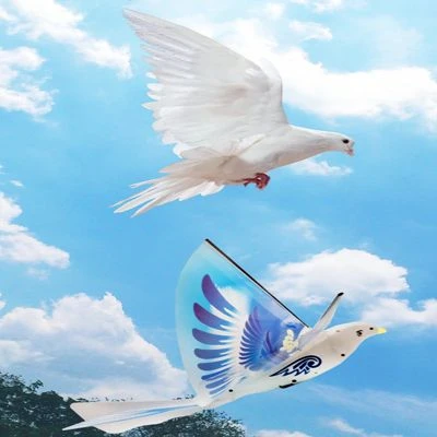 Epik Flugzeugspielzeug Für Kinder Elektrisches Weltraumvogelflugzeug Für Kinder 2 Epik Flugzeugspielzeug Für Kinder Elektrisches Weltraumvogelflugzeug Für Kinder – Bild 2