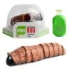 Epik Simulation Fernbedienung Insekt Raupe Wurm Fernbedienung Insekt Raupe Wurm Simulation RC Tier Spielzeug